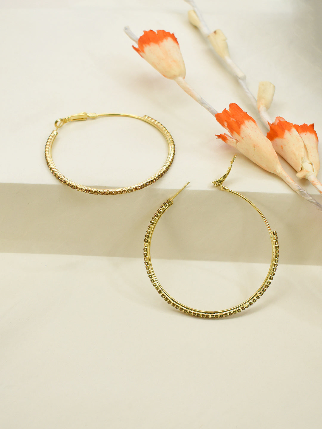 Oval Design  Alloy Earring