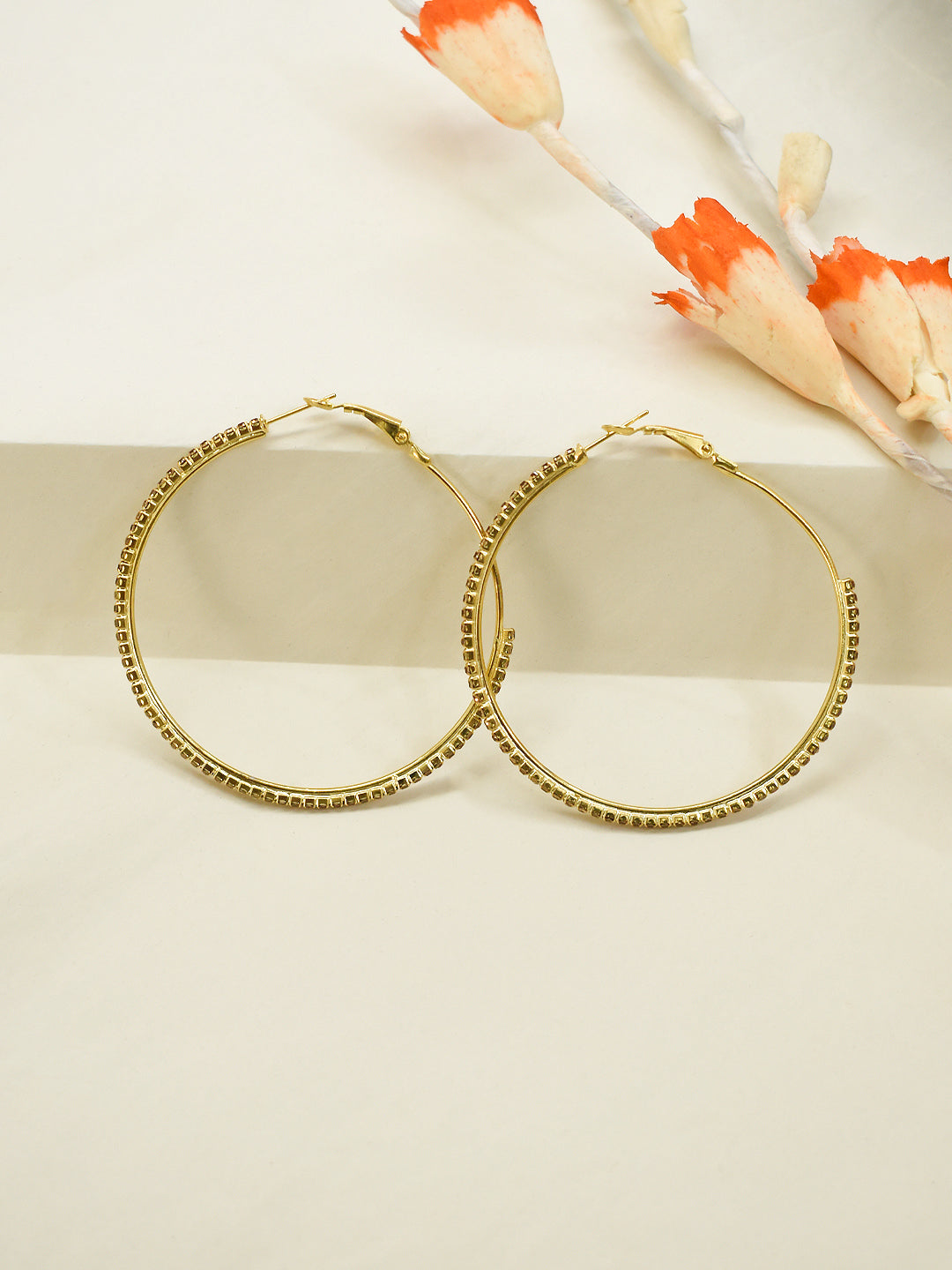 Oval Design  Alloy Earring